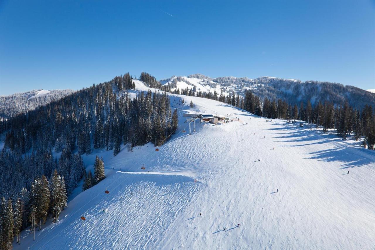 Leni'S Mountain Appartements Динтен-ам-Хохкёниг Экстерьер фото