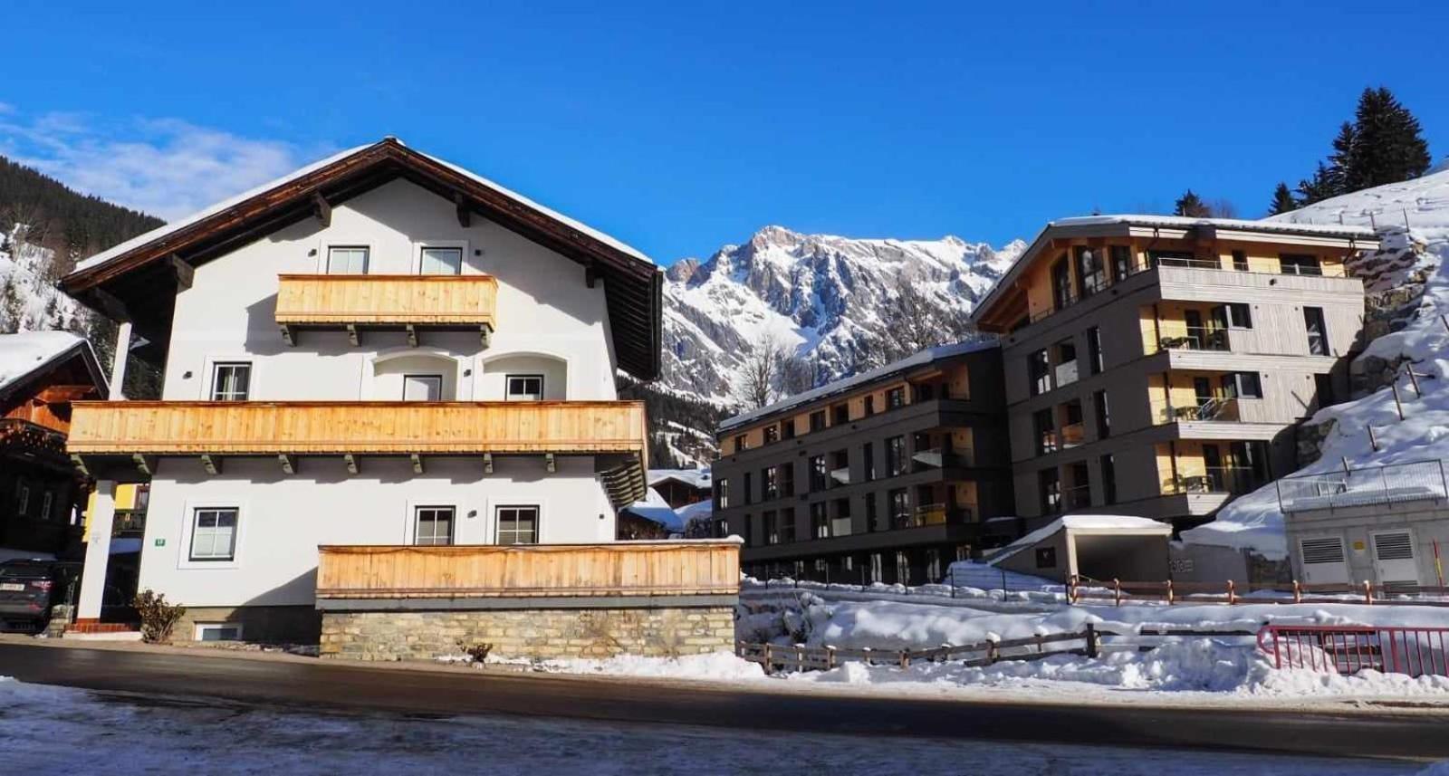 Leni'S Mountain Appartements Динтен-ам-Хохкёниг Экстерьер фото